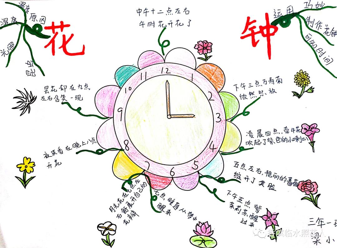 三年级下册语文花钟思维导图简单,三年级下册第13课花钟做思维导图