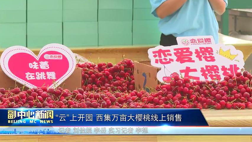 云上花开生态农业观光园优惠,云上花开生态农业观光园要门票吗