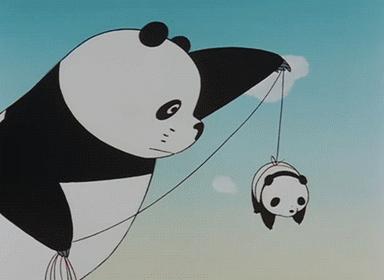 什么是所谓的自由,什么是自由的感悟