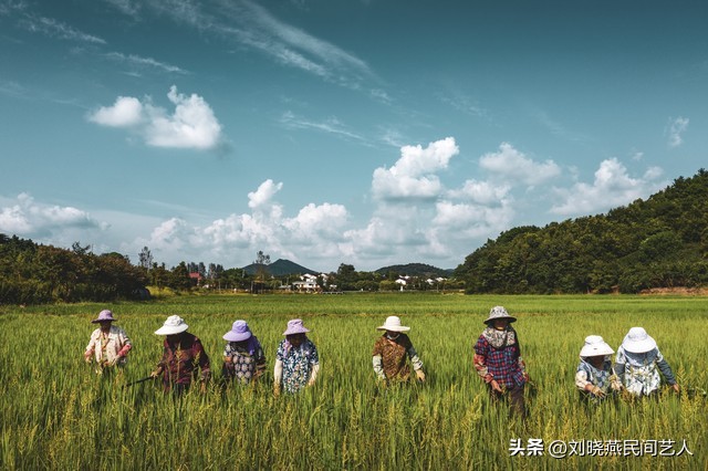 农民又开始交农业税是真的吗,重新征收农业税是真的吗