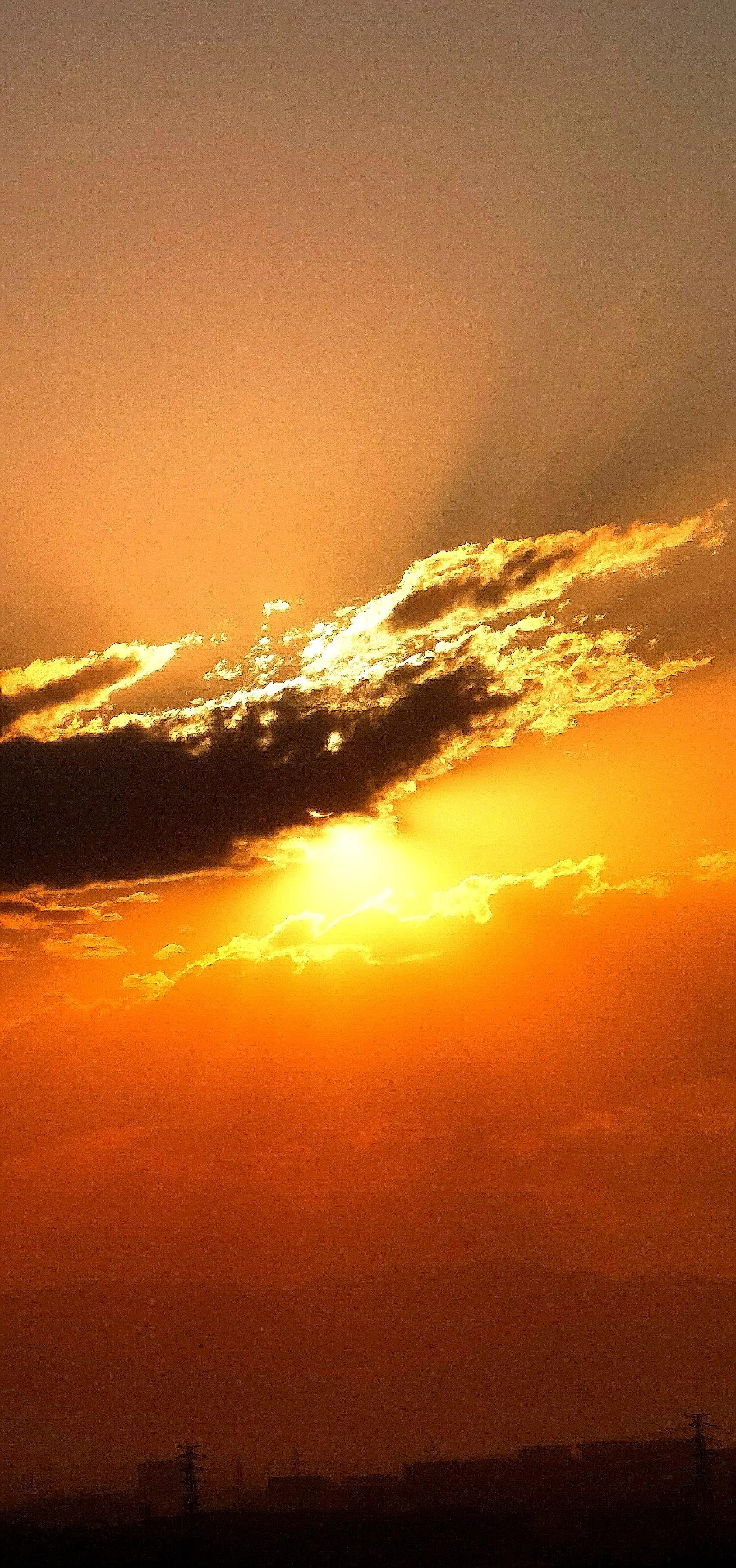 父母摔断骨头怎么安慰,父母摔伤了子女该如何做