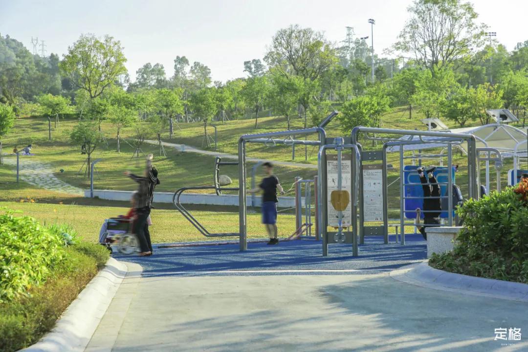 雨林打卡网红地滑梯,深圳哪里有超大型滑梯