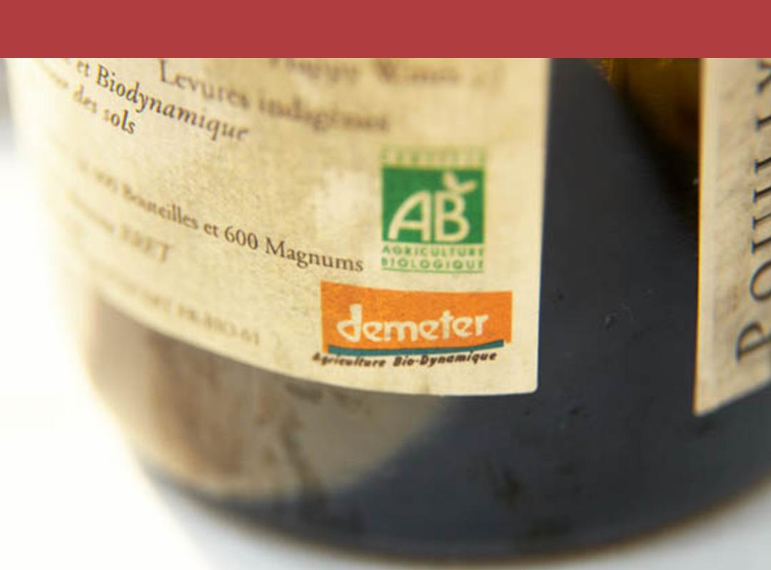 为什么喜事都要看黄历,喝白茶看黄历