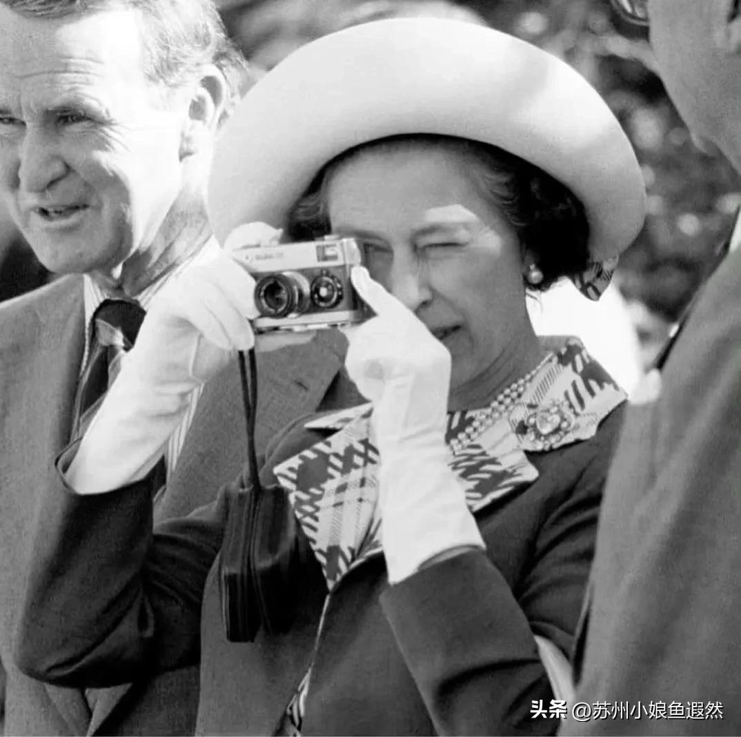 澳白素钉出圈了，明星和熊出没电影都有大白