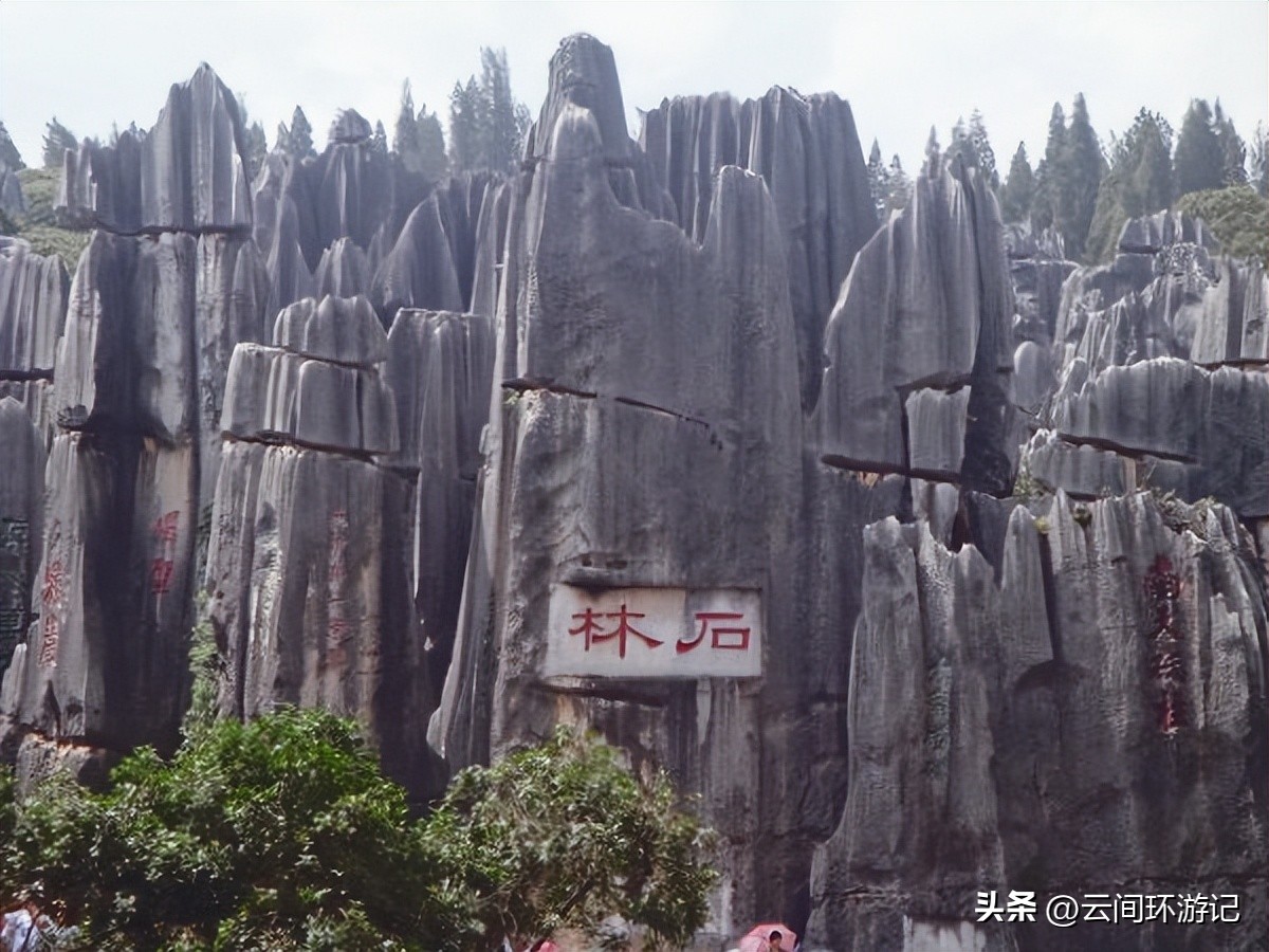 「一根风花雪月的鸡毛」（云南丨昆大丽香）