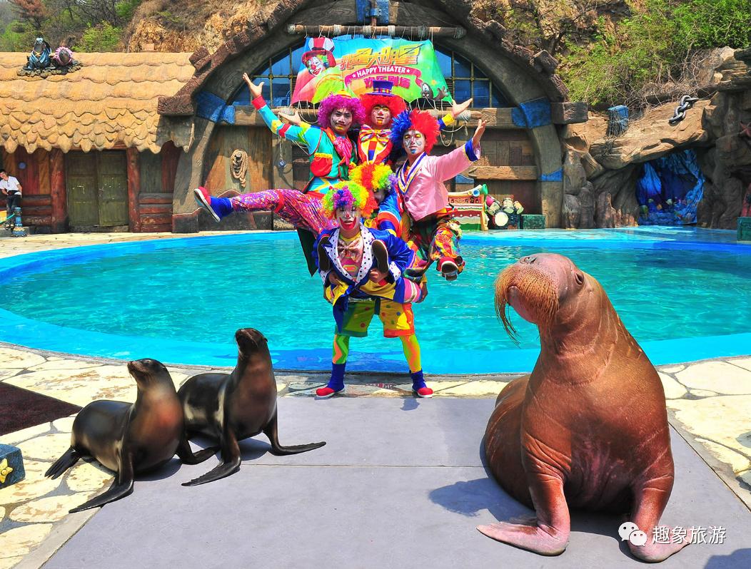 大连老虎滩海洋公园冬季好玩儿吗,大连老虎滩海洋公园游玩视频