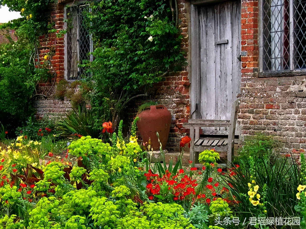 花园适合种的植物,在花园种植哪些植物比较适合