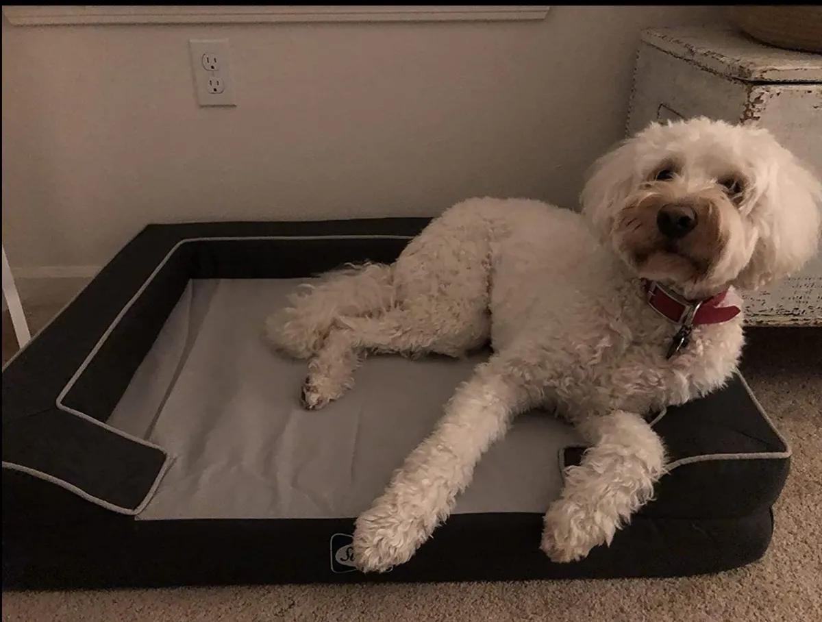 狗床厂家直销,室内狗床大型