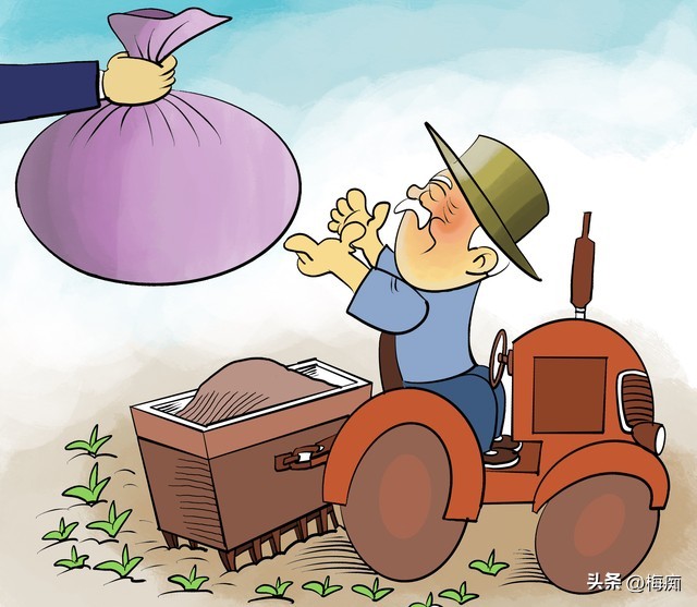 苏北农业补贴2020粮食补贴,农村种植大户粮食补贴每年都补吗