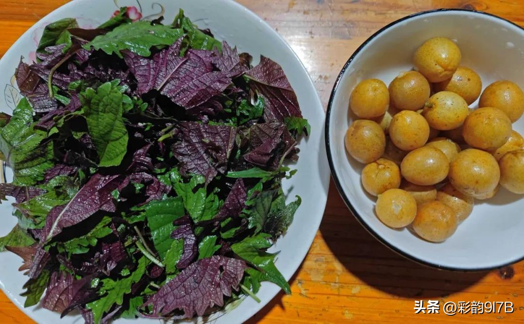 夏日水果神仙吃法试试清凉解暑,青瓜和什么水果一起榨汁功效最好