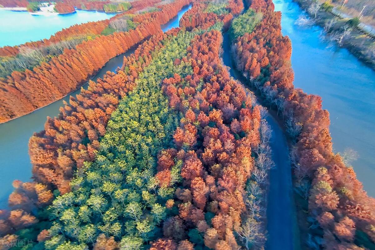 上海风景最美的公园,上海最好玩漂亮的七大公园