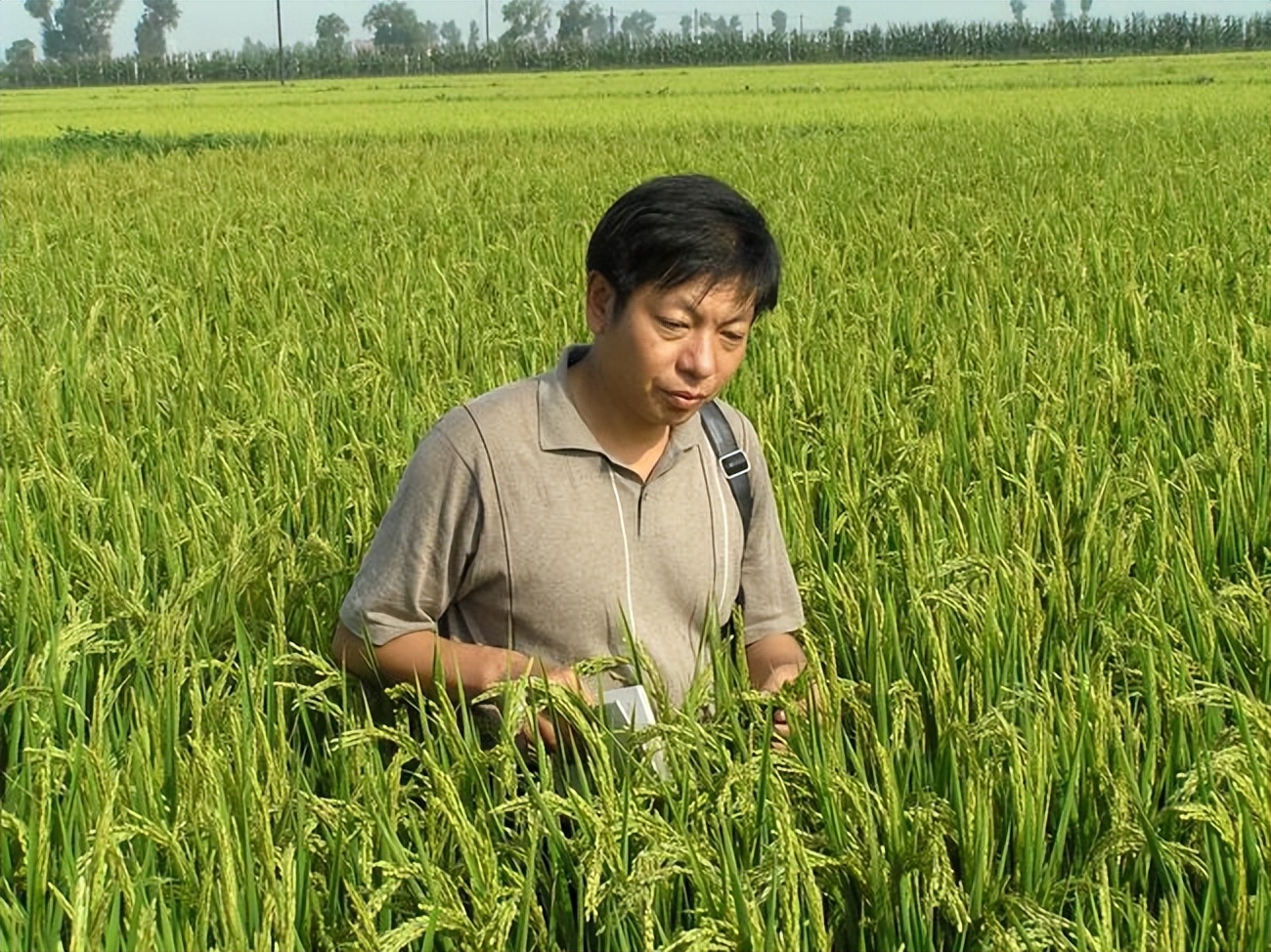 微咸水开发利用情况汇报,反渗透水处理数据分析