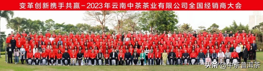 中茶普洱茶经销商信息大会,中茶2024年经销商大会