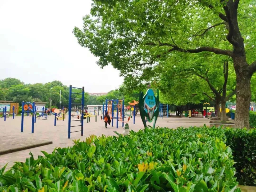 趁着天气晴朗一起去公园走走,春光明媚一起去公园