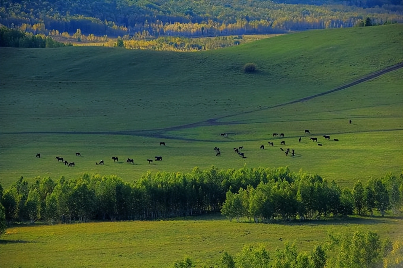 跟旅游团去内蒙古玩要多少钱,去内蒙古玩攻略省钱吗