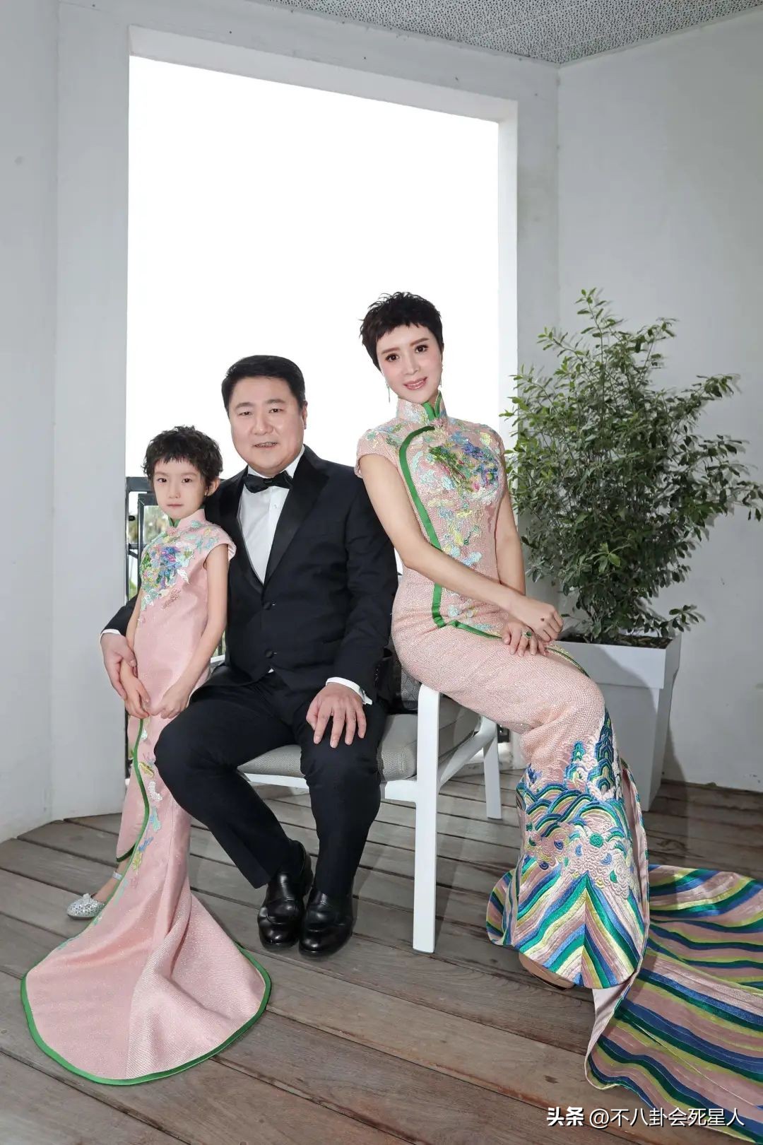 向太直播谈张柏芝,向太直播说张柏芝