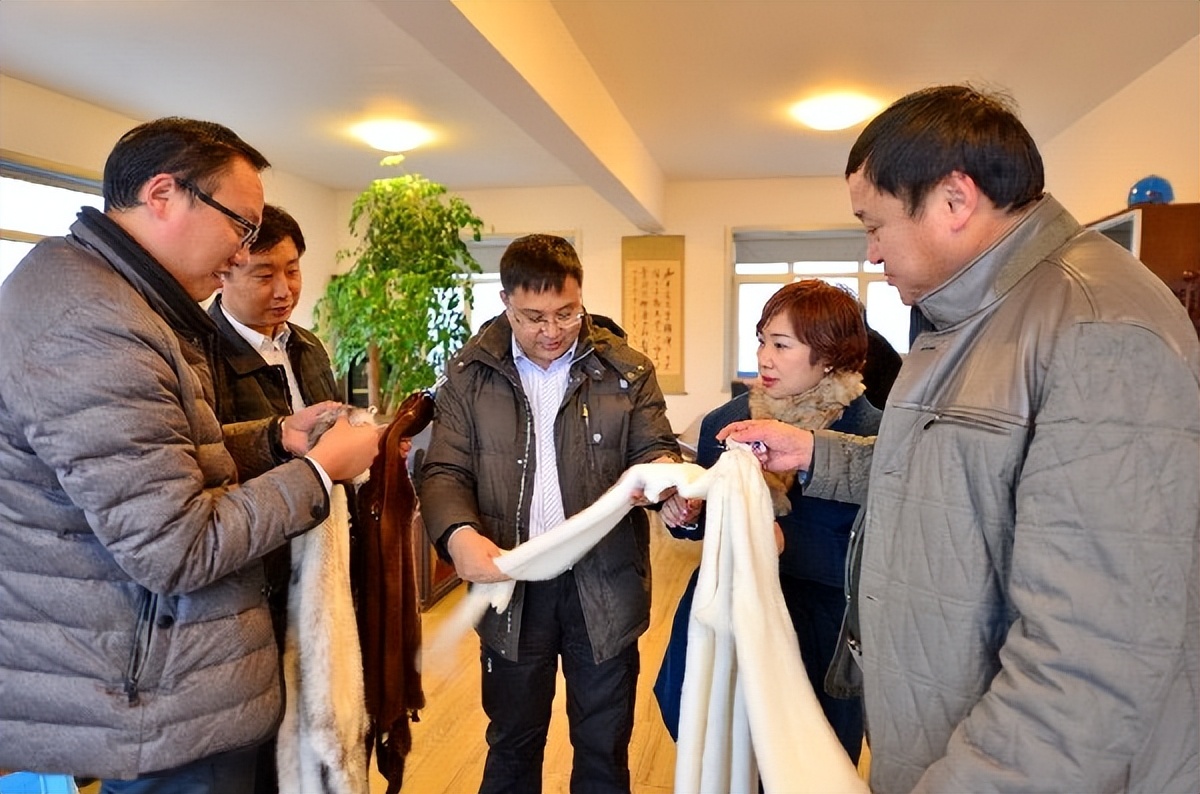 水貂养殖新技术,水貂皮草的养殖方法与技术