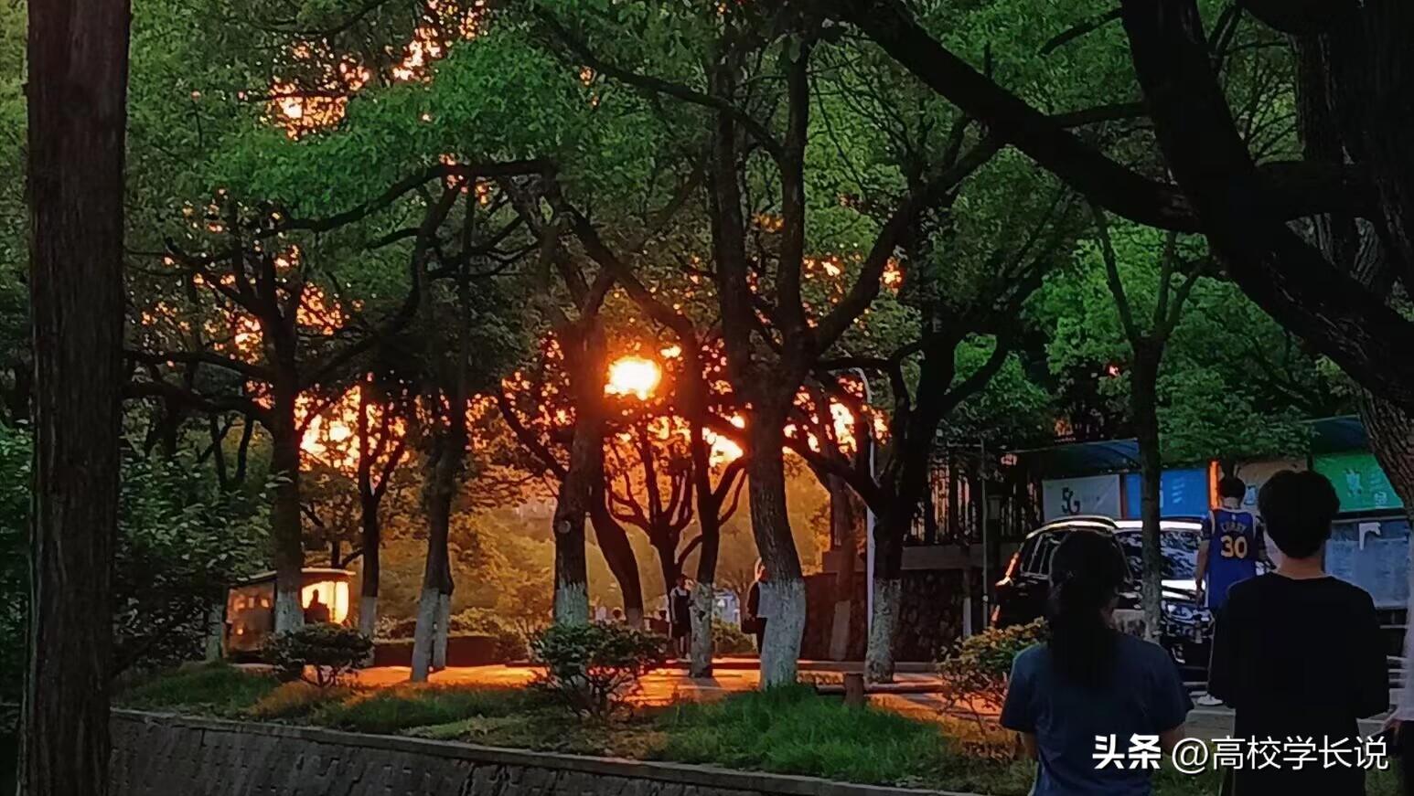 大学的班委，有必要去竞选吗？