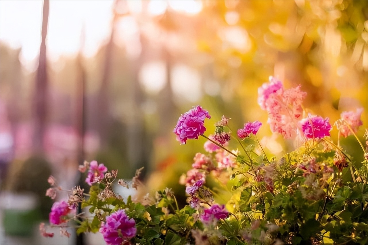 男人对你忽冷忽热不必怕,男人对你忽冷忽热如何高情商应对