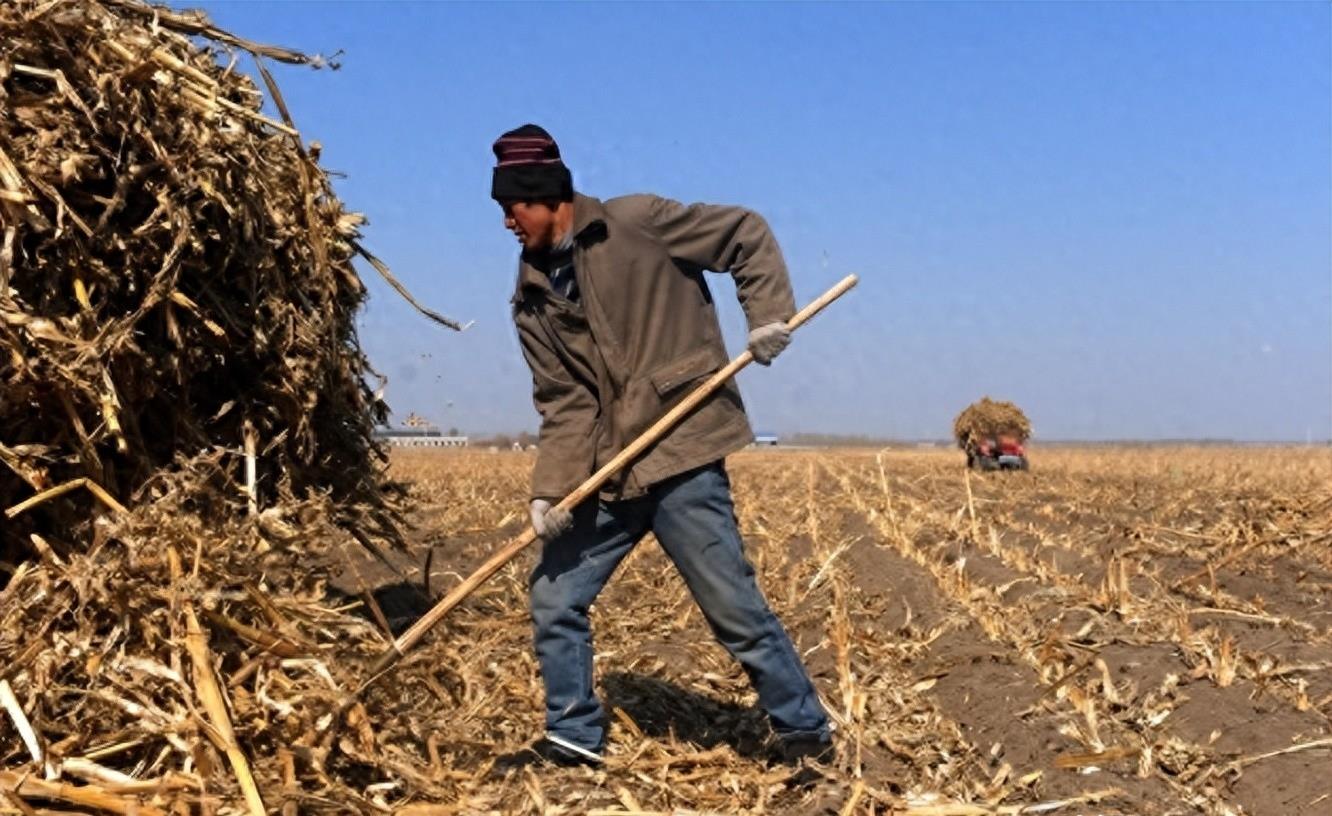 熊猫40年血泪史,大熊猫之殇