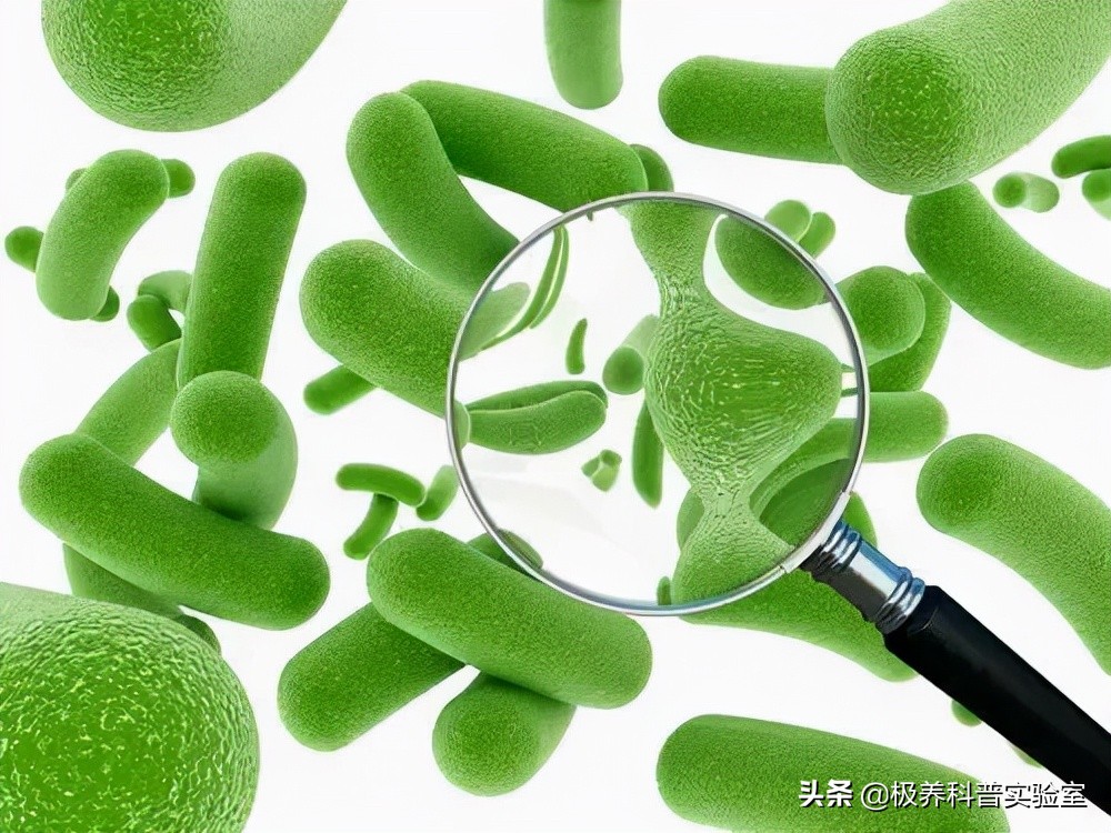 清肠茶喝3年结果肠子都黑了,除了肠清茶还有哪种茶可以清肠道