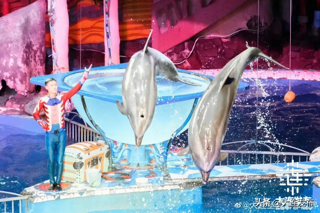 最新旅游景区发展,杭州大明山风景区五一攻略