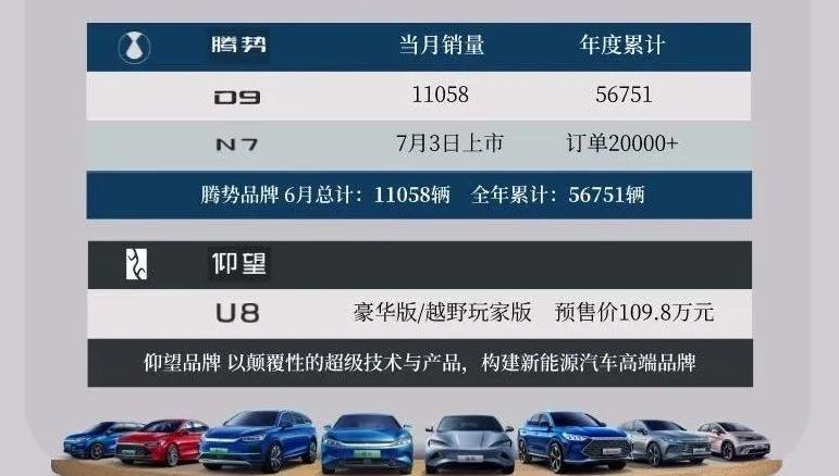 截止2020年6月比亚迪新能源车销量,比亚迪销量和特斯拉全球销量对比