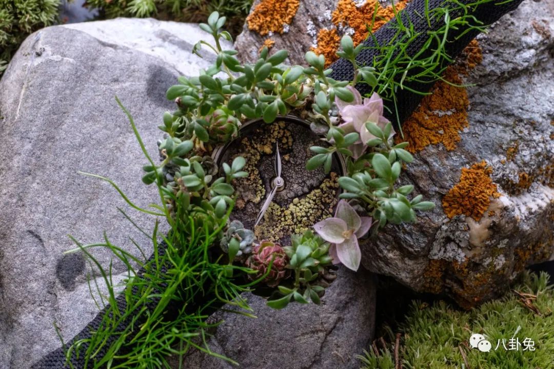 亨利慕时独立制表师,亨利慕时制表厂简介