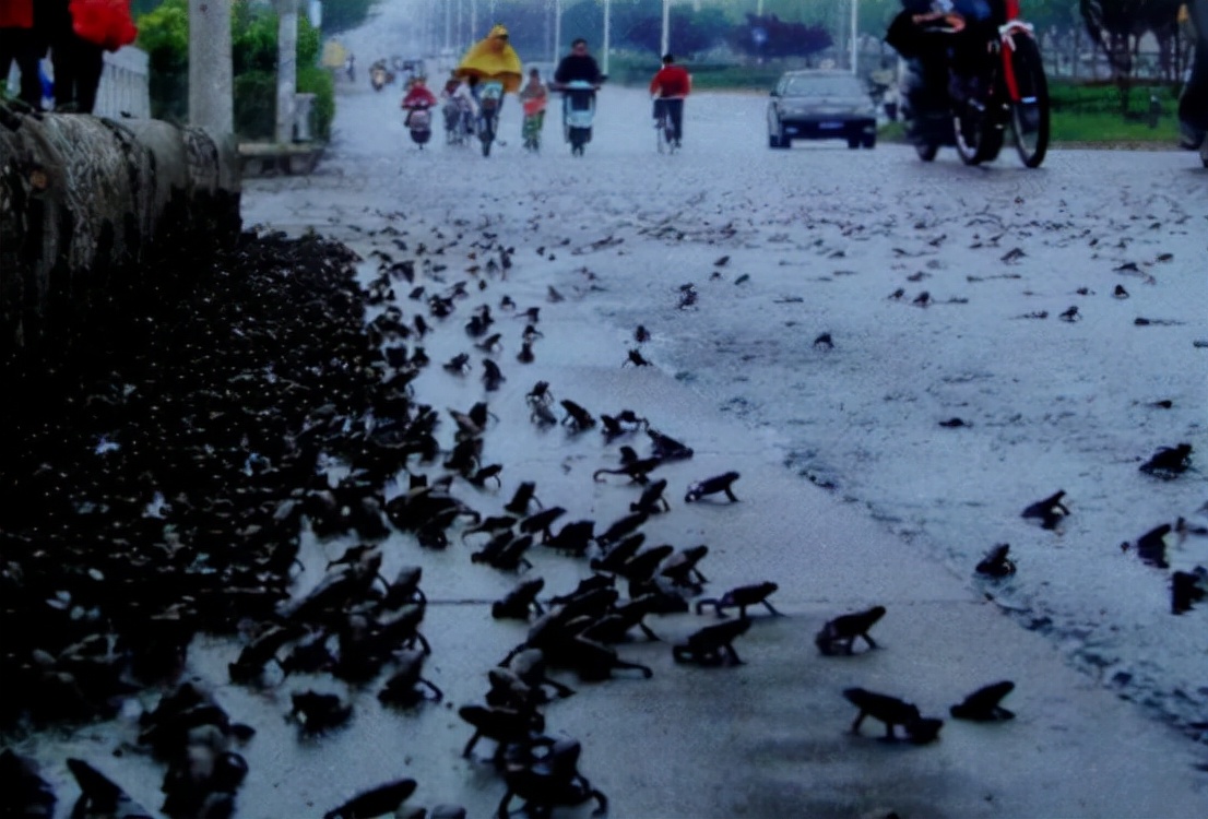 动物行为能预测地震是真的吗,专家分析常州地震还会有余震吗