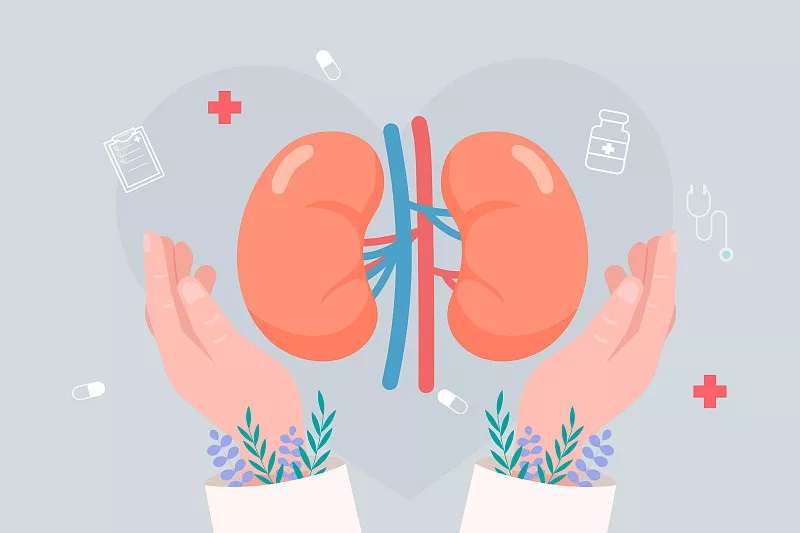 查出肾囊肿怎么办,如果得了肾囊肿怎么办