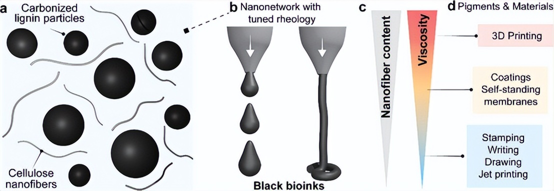 《AFM》:超结构碳化木素颗粒的黑色生物油墨！