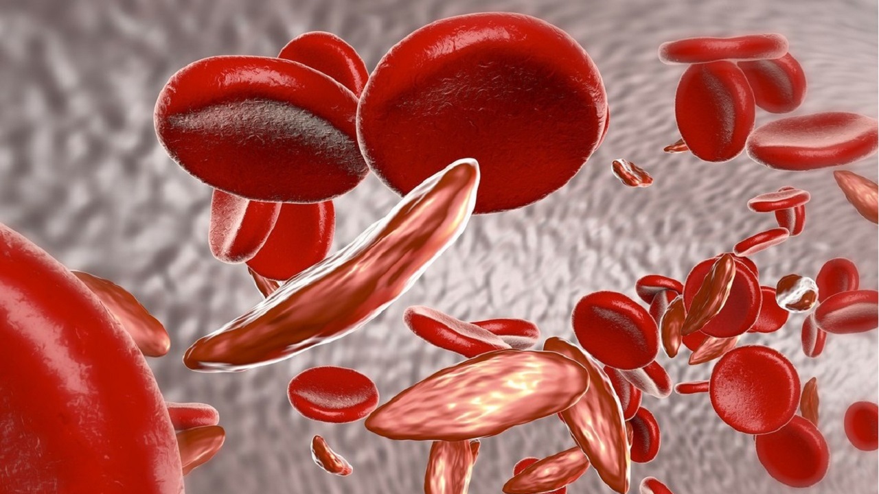 谷草转氨酶和谷丙转氨酶谁更重要,谷丙转氨酶与谷草转氨酶哪个要紧