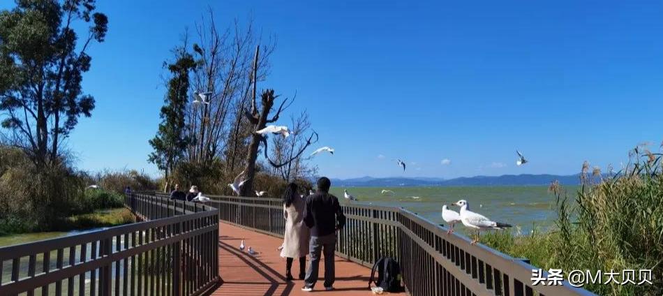 昆明市的7个区分布图,昆明市十三个区县地图