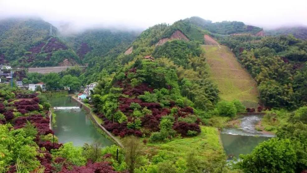 浙江余姚亲子游推荐,慈溪余姚亲子游一日游攻略