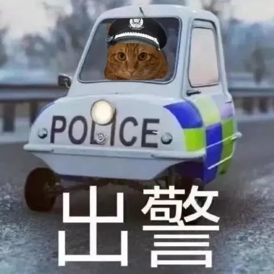 哪种猫招财好养活,哪种猫最招财又好养