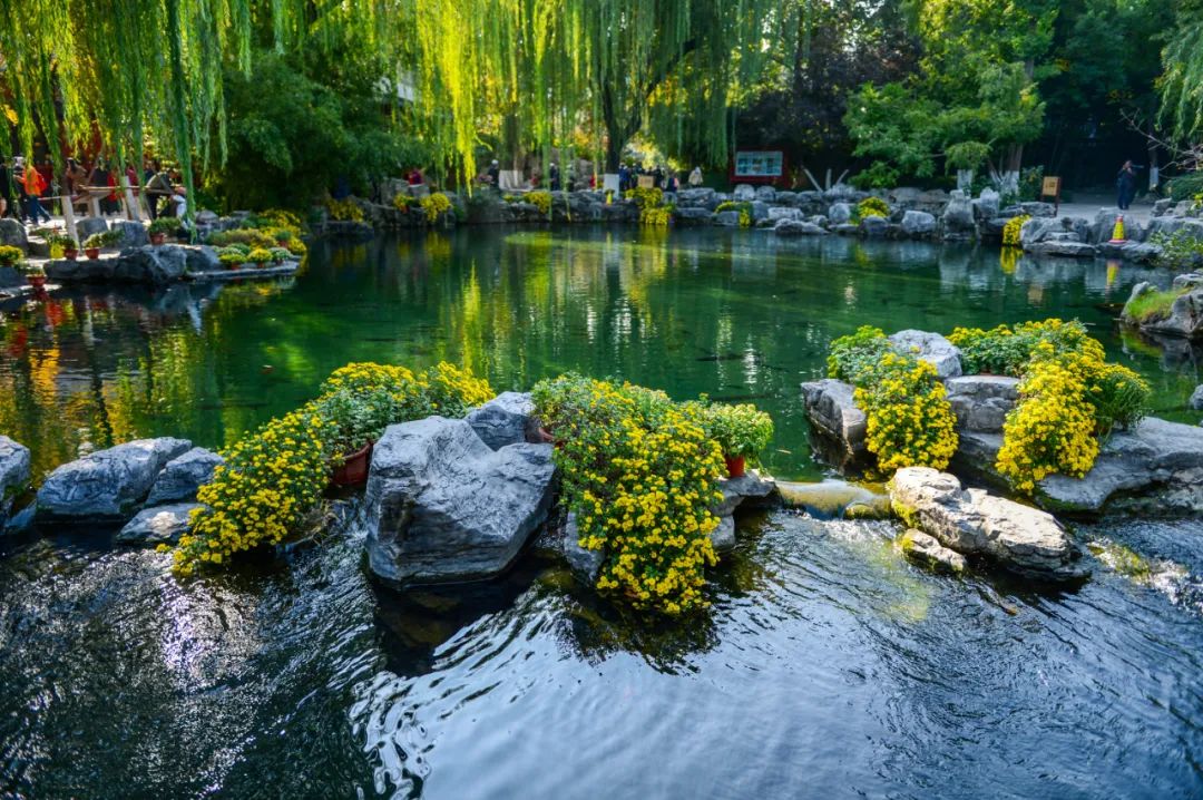 天下第一泉趵突泉课文,天下第一泉再现趵突腾空胜景