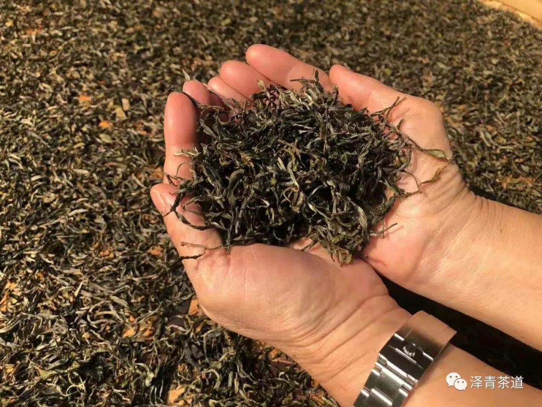 保塘古树茶好喝吗,芒景古树茶好喝吗