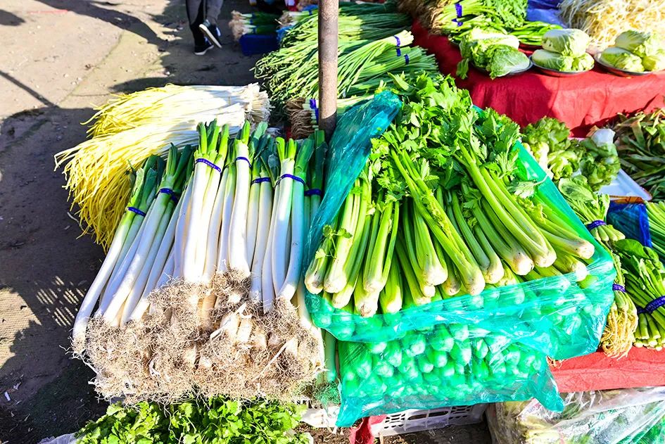 西山脚下的早市,闲逛最具人间烟火气的早市