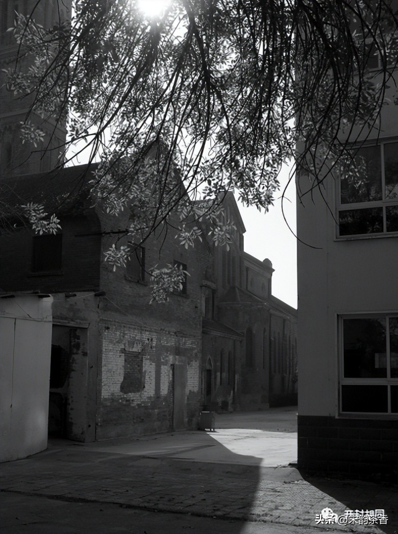 开封市第十四中学,开封市第十四中学简介