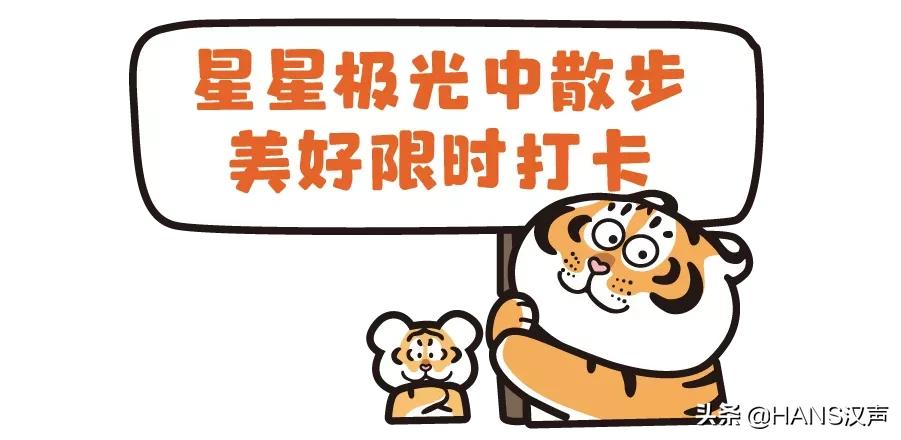 请注意！胖虎出没武汉街头