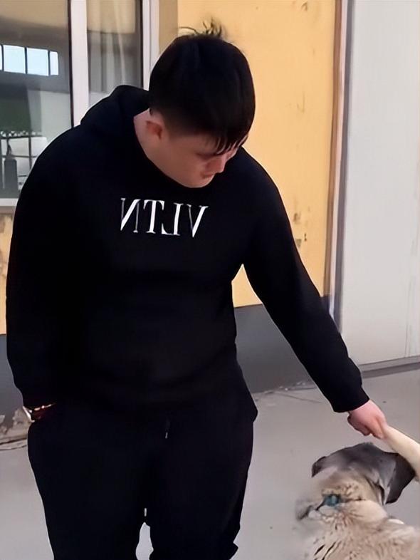 赵本山儿子花260万买狗惹争议,赵本山的儿子买条狗