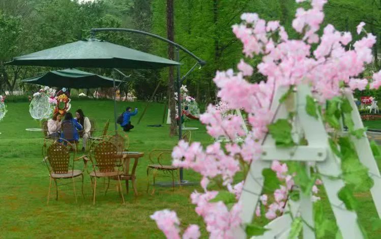 成都周边赏花烧烤一日游推荐免费,成都赏樱花露营