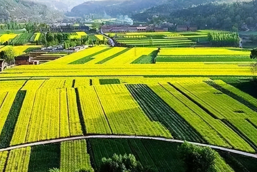 完善政策性农业保险机制,政策性农业保险对农业生产作用