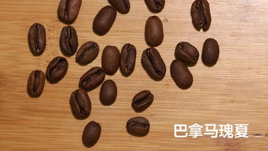 你喝的酒是真的吗,你喝的果酒是假的吗