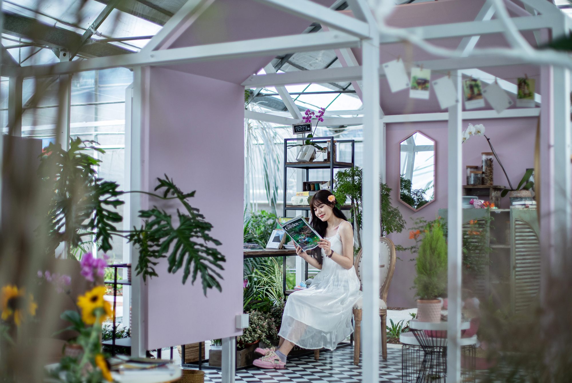 市中心首个体验型园艺生活综合体“上花源”园艺中心惊鸿来袭