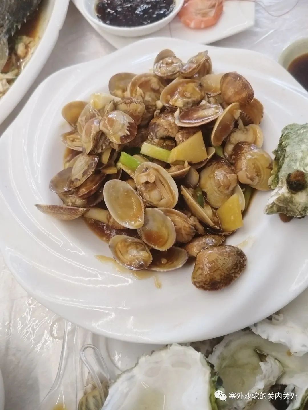 打卡南澳岛东方夏威夷,夏威夷南澳岛一日游