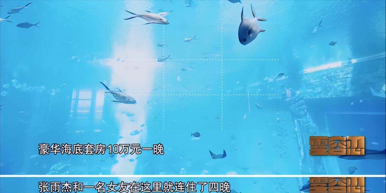 95后小伙一年挣80亿,95后小伙赚过亿