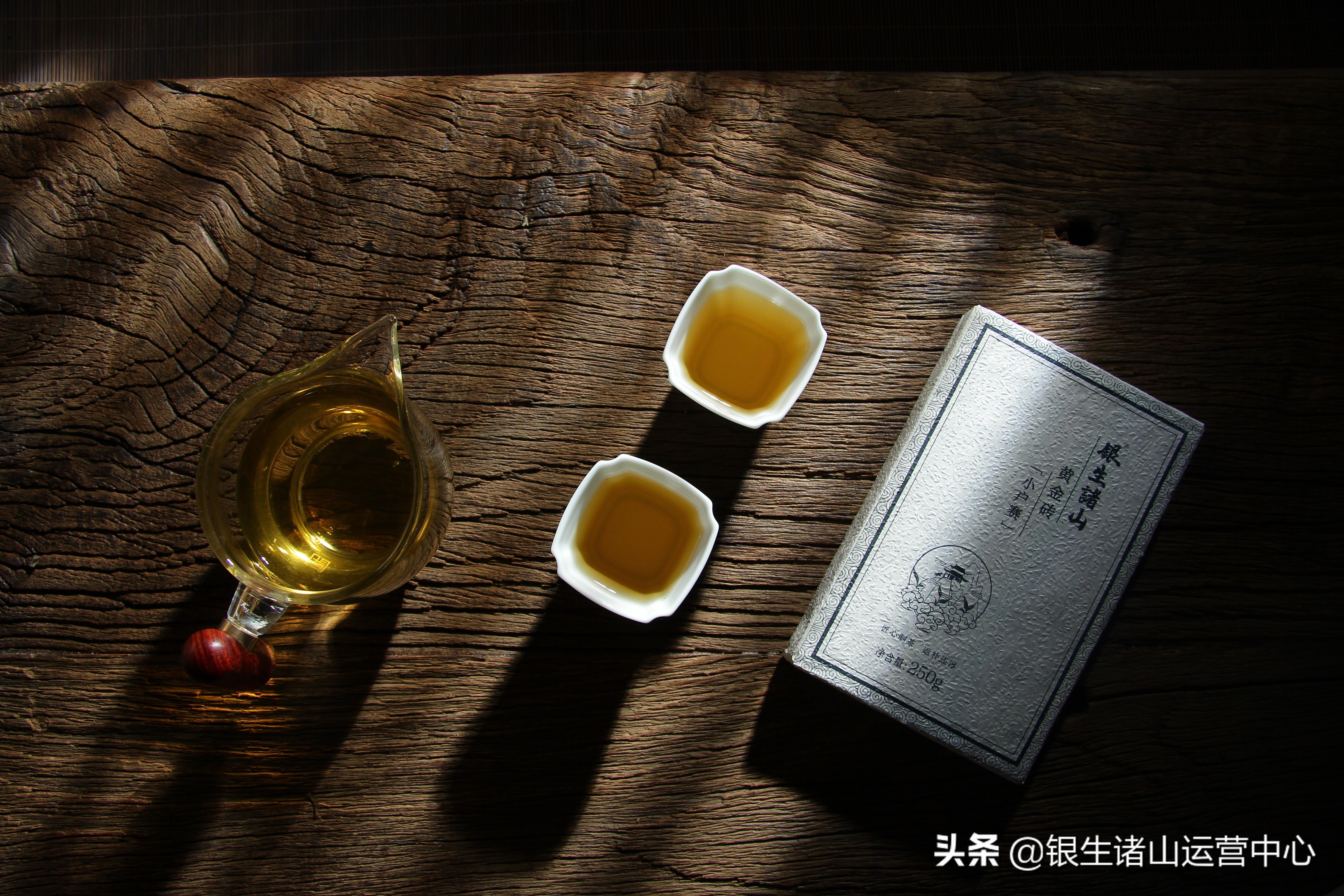 银生诸山阳明心学四十四弹卷一传习录白话译文陆澄录第二十三集