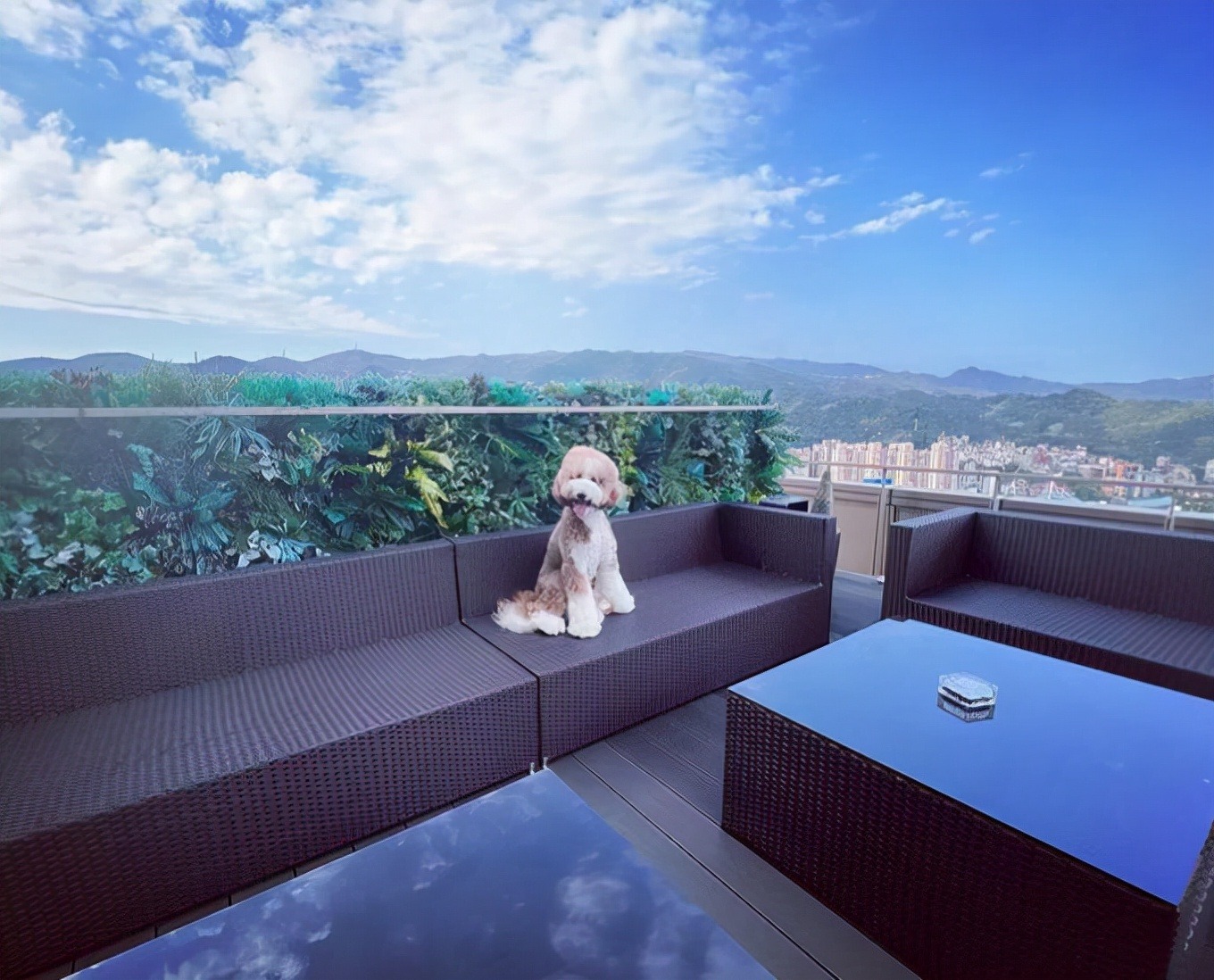 罗志祥晒绝密珍藏玩具：数百双鞋价值几百万，一张地毯价值不菲