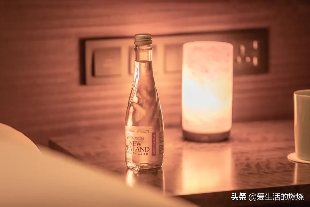 上海阿纳迪酒店特色和作用,上海阿纳迪酒店评价